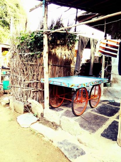 11892196_10205877707600843_126278702358715808_n