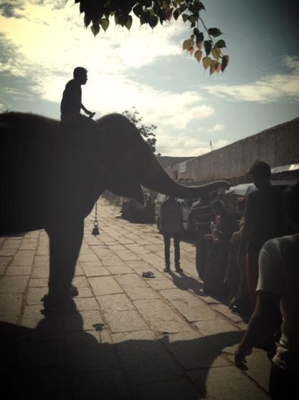 11934978_10205877677280085_7498352389690779144_n