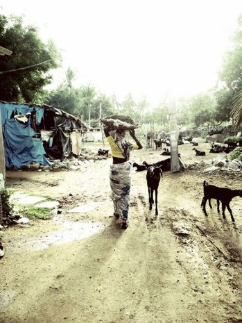 11949399_10205877707360837_4474353269426720523_n