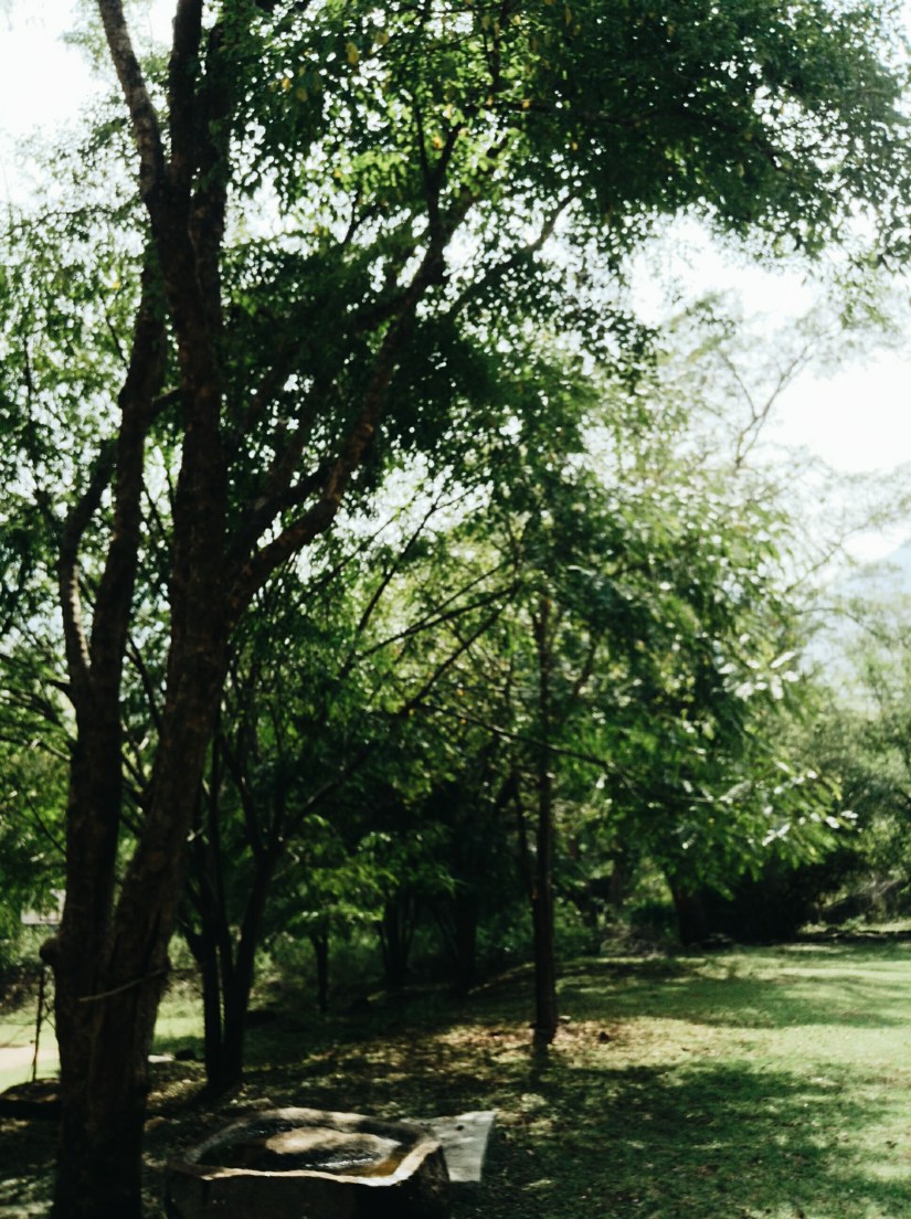 Processed with VSCO with a6 preset