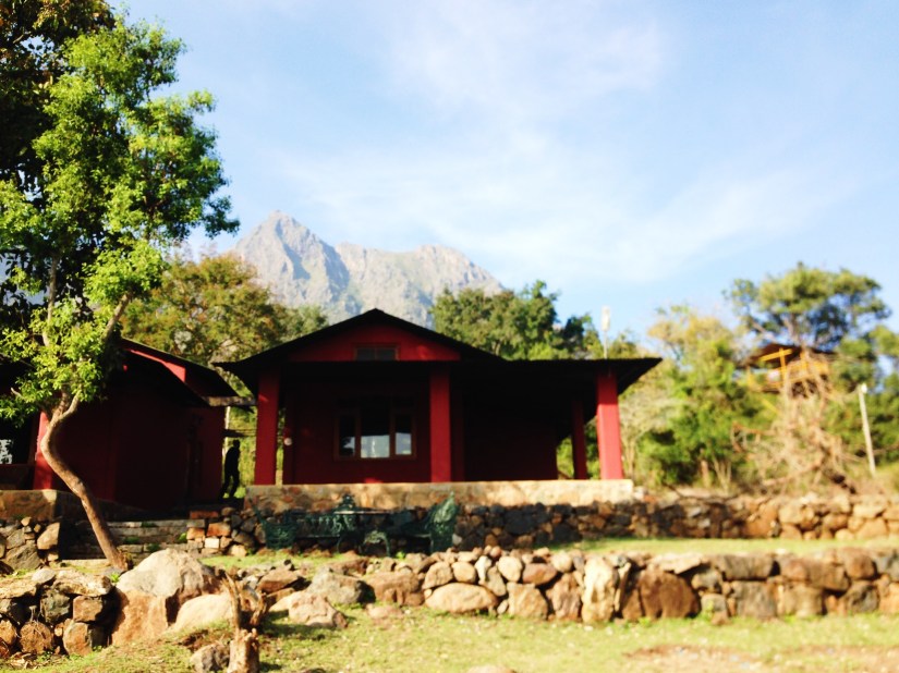 5F31E678-2A57-4830-B156-57C430BC25A2