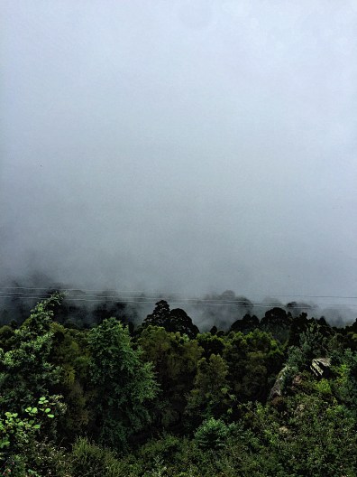 View from Above &amp; Beyond cafe